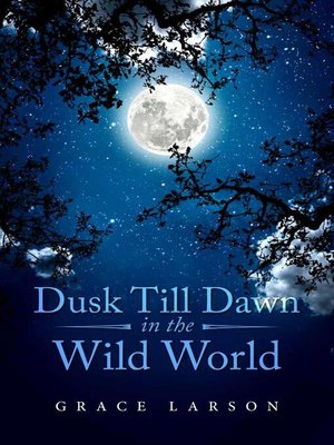 cover image of Dusk Till Dawn In the Wild World